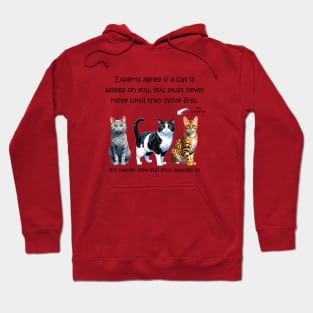 Experts agree if a cat is asleep on you, you must never move until they move first - no matter how full your bladder is - funny watercolour cat design Hoodie